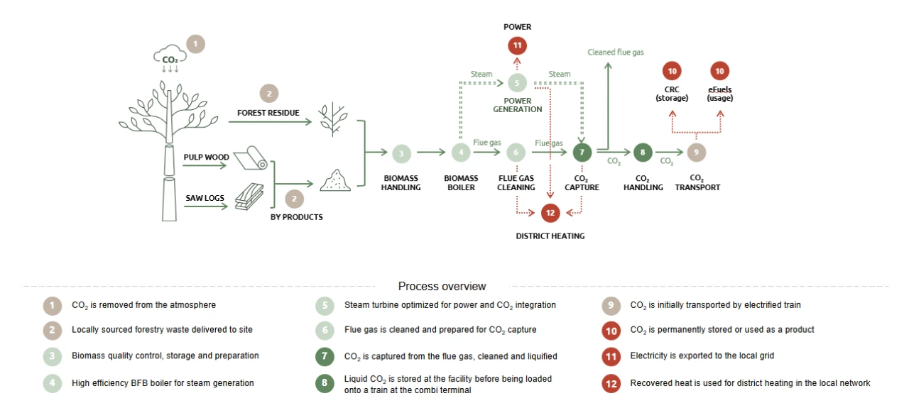 Carbon capture explained