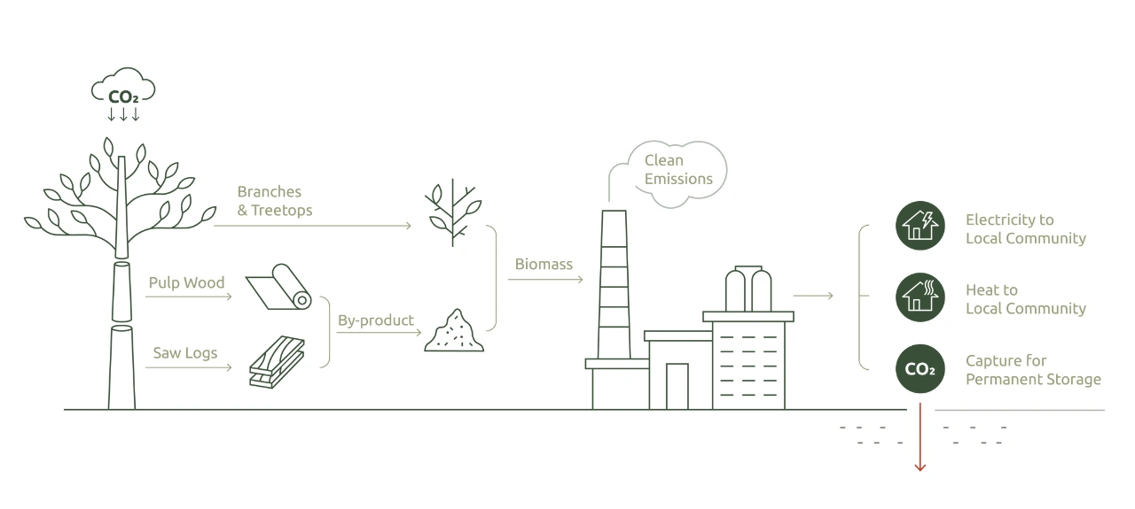 The Visual explanation of BECCS