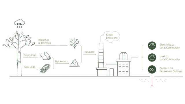 Biocuss explaination